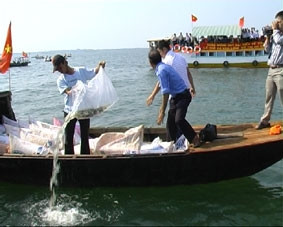 Ngư dân đang thả cá trên hồ Trị An.