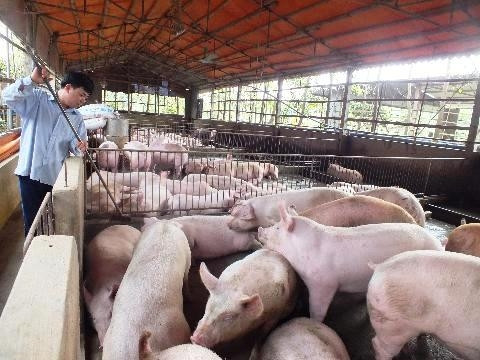 Không kiểm soát hiệu quả việc sử dụng chất cấm trong chăn nuôi, sản xuất sẽ gặp khó khăn, không có sản phẩm an toàn cho người sử dụng.