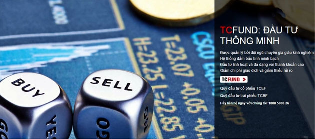 Cấp giấy chứng nhận Thành viên lưu ký sửa đổi cho TCBS