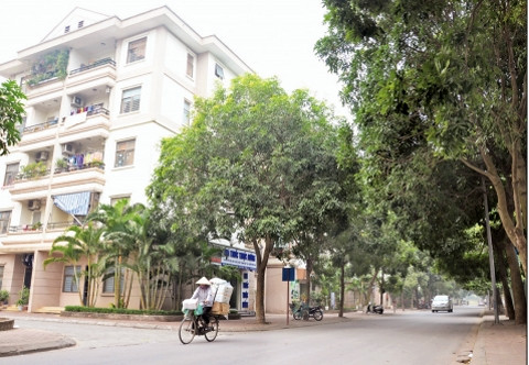  Không gian xanh, yên bình của phố Thép Mới 