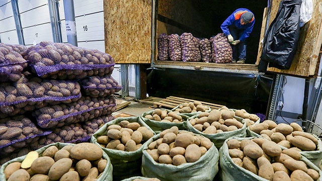 Người Nga không còn sử dụng nhiều khoai tây làm thực phẩm chính như trước. Ảnh: TASS