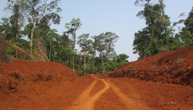 Ngang nhiên phá rừng, mở đường trong rừng phòng hộ vành đai biên giới Tuy Đức.