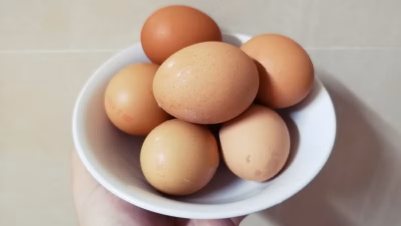 Trứng trở nên phổ biến và gắn bó trong đời sống ẩm thực của người dân trên thế giới.