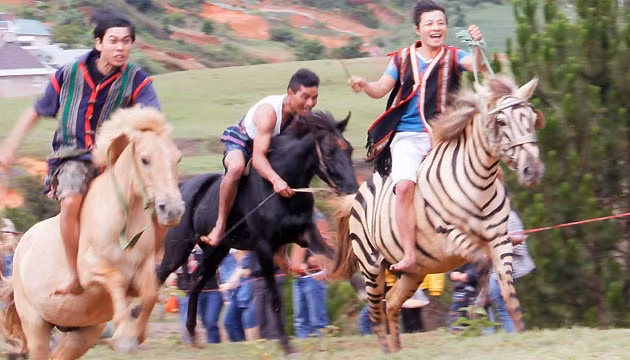 Cuộc đua thể hiện sự phóng khoáng của người Tây Nguyên.