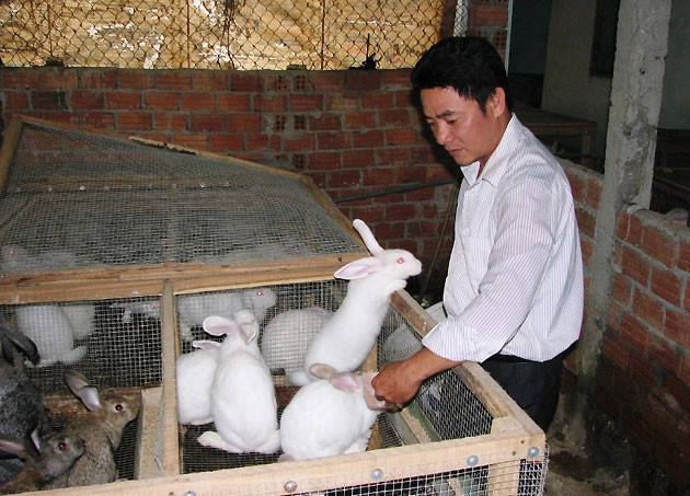 Anh Chính bên trại thỏ của mình.