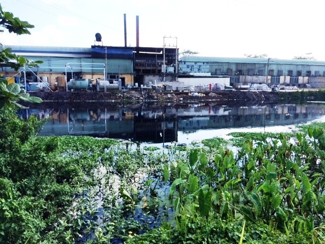 Nước sông Cầu Lường đang ô nhiễm nặng bởi nước thải từ 20 doanh nghiệp nằm dọc hai bên sông.