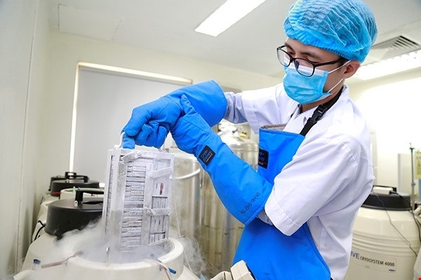 Tế bào gốc máu dây rốn được lưu trữ tại Viện Huyết học – Truyền máu Trung ương.