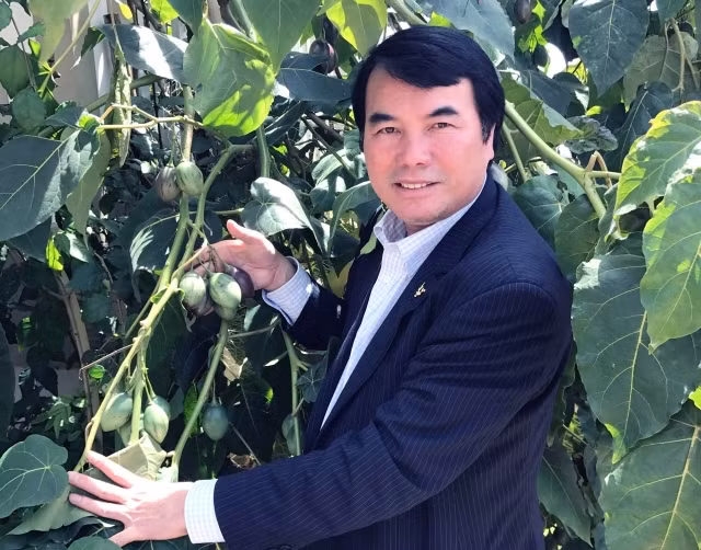 TS Phạm S trong vườn Magic-S đang thời kỳ sinh trưởng.