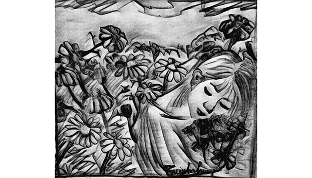 Không còn hoa cúc dại