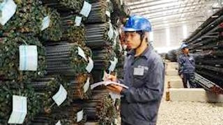 Ngành VLXD đang tìm giải pháp vượt qua cơn khủng hoảng thừa để phát triển.