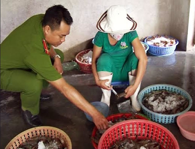 Nhân viên hai cơ sở kinh doanh thủy sản ở thị trấn Thuận An bơm tạp chất vào tôm sú để tăng trọng tôm.