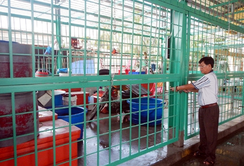 Hàng loạt ki-ốt tại chợ đầu mối thủy, hải sản Châu Việt Long phải đóng cửa.