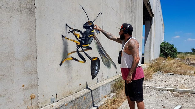 Tranh graffiti biến hình