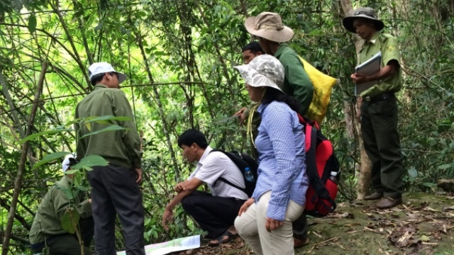 Đoàn công tác đi kiểm tra thực địa để chuẩn bị thực hiện REDD+ giai đoạn hai.