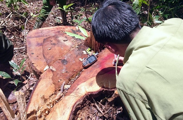 Cơ quan chức năng khám nghiệm hiện trường.