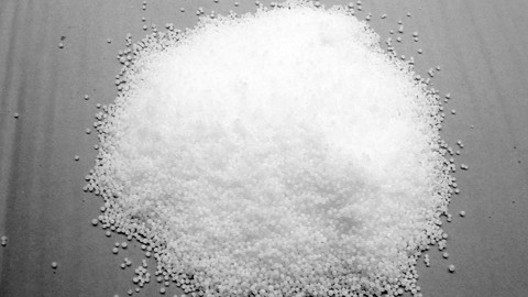 “Hoa không cánh” CHẮP CÁNH NGHĨA TÌNH