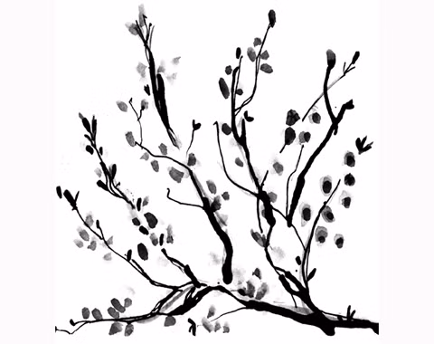 Hoa Trời - Hoa Đất