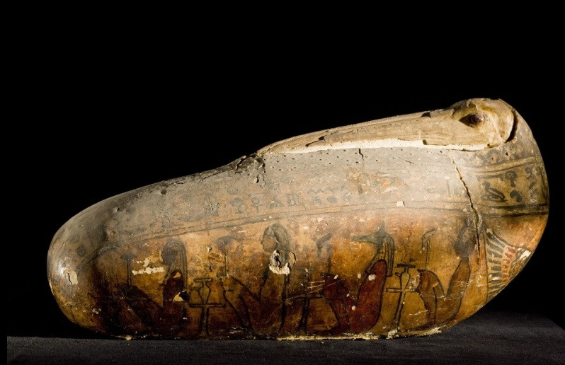 Một chiếc vỏ bằng vải lanh và thạch cao, tái tạo cái mỏ và đầu dài của con chim, với các hạt thủy tinh được thêm vào mắt.