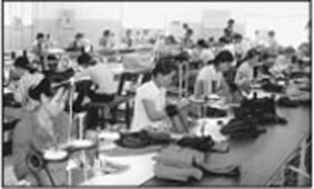 May hàng tại công ty may Hoa Sen
thuộc CCN thị trấn Bình Định,
huyện An Nhơn.