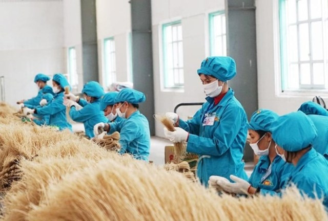 Quy trình sản xuất hiện đại, khép kín.