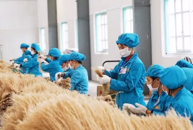 Quy trình sản xuất hiện đại, khép kín.