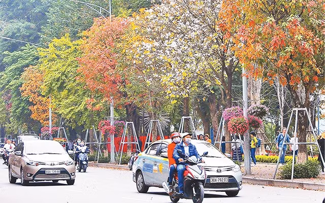 Sắc mầu rực rỡ trên tuyến đường Ðinh Tiên Hoàng (Hà Nội) khi các hàng cây thay lá. Ảnh: THẾ ÐẠI