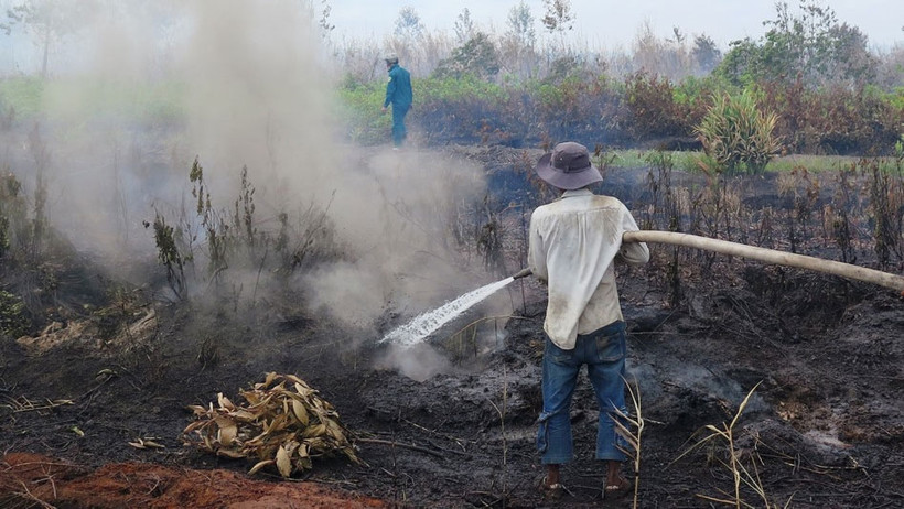 Nhân dân nỗ lực dập lửa dưới lớp than bùn ở ấp 17 xã Khánh An.