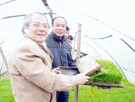 TS Lê Văn Tri thăm một số đơn vị sản xuất mạ khay do Công ty Cổ phần công nghệ sinh học chuyển giao công nghệ.