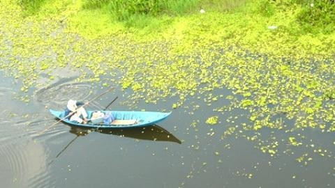 Một góc Vườn quốc gia U Minh Thượng.