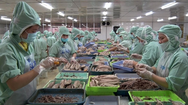  Lao động làm việc tại khu công nghiệp Hòa Hiệp, huyện Đông Hòa, tỉnh Phú Yên.