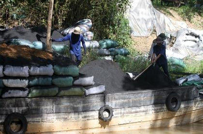 Cào, trộn, chuyển tro xuống ghe cho chuyến hàng sắp xuất bến.