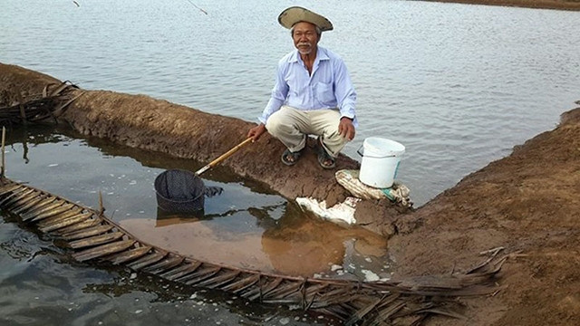 Người dân kiểm tra sự phát triển của Artemia.