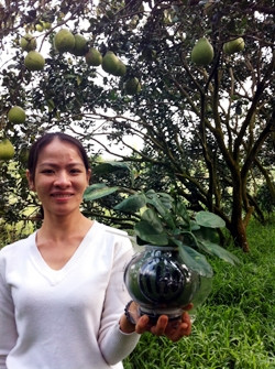 Bưởi hồ lô - giống bưởi đặc sản của Phú Hữu.