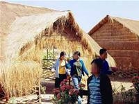 Theo cảnh sát Campuchia, có khoảng 5.000 phụ nữ Việt Nam bị đưa sang Campuchia làm gái mại dâm.(Ảnh: Tuổi trẻ)