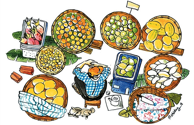 Minh họa: PHẠM BÌNH CHƯƠNG