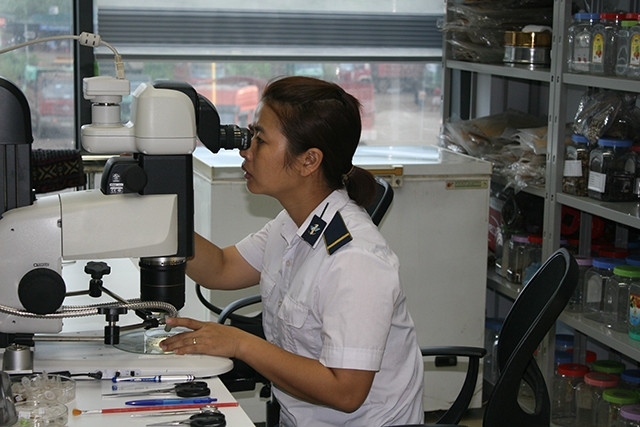 Cán bộ Chi cục Kiểm dịch thực vật vùng 8 kiểm tra hàng nông sản trước khi nhập khẩu vào Việt Nam tại Khu kinh tế cửa khẩu Lào Cai.