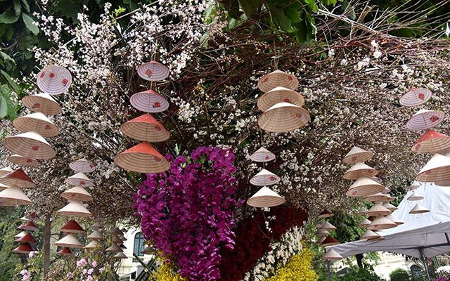 Thêm một ngày Lễ hội hoa anh đào Nhật Bản - Hà Nội