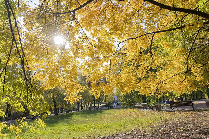 Sắc mầu "mùa thu vàng" ở Moscow