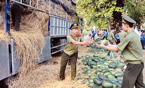 Lực lượng đoàn viên, thanh niên Thủ đô tham gia giúp đỡ người dân Quảng Nam tiêu thụ nông sản. Ảnh: CHÍ TOÀN