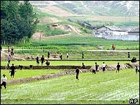 Hàn Quốc viện trợ Triều Tiên nửa triệu tấn gạo