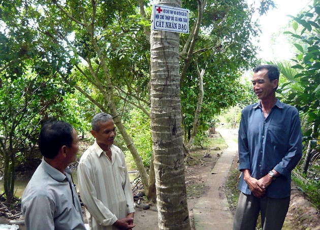 “Cây nhân đạo”, mô hình giáo dục lòng nhân ái