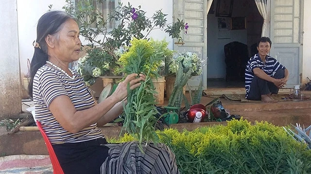 Nhiều hộ dân ở nông trường Tam Thiên Mẫu chưa được nhận lại giấy chứng nhận quyền sử dụng đất. Ảnh: DIỆP QUỲNH