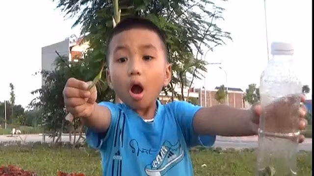 Cào cào tuổi thơ