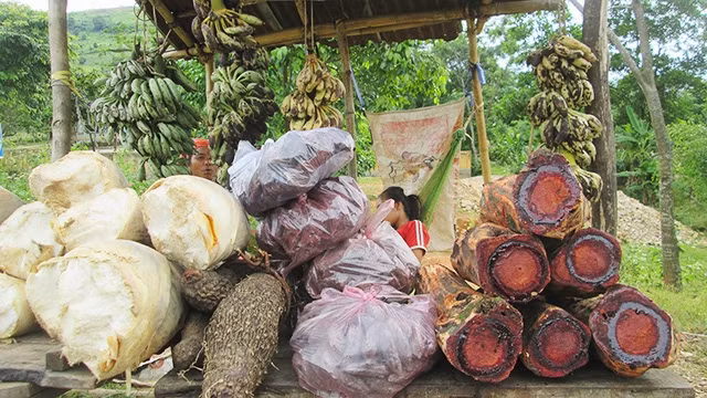  Những sản vật kiếm được từ rừng, đồng bào Vân Kiều huyện Đakrông đem xuống đường bày bán để kiếm miếng ăn.