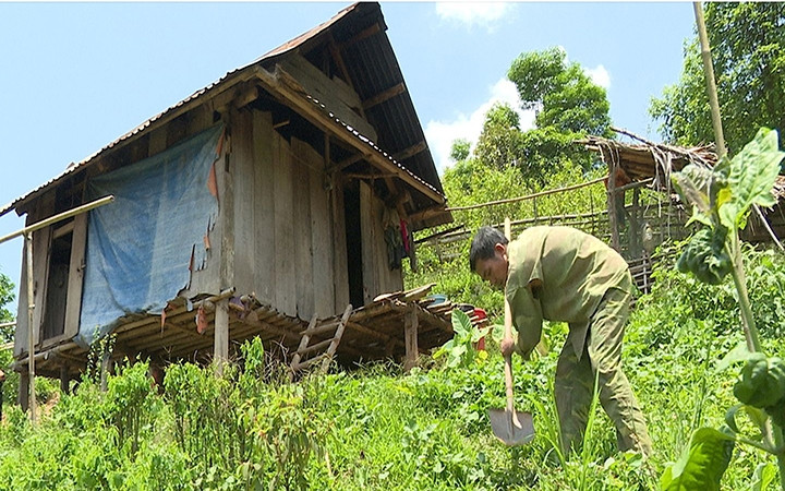 Một căn nhà tạm bợ của người dân xâm canh, xâm cư.