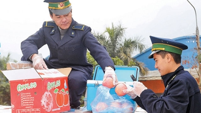 Kiểm tra chất lượng hoa quả nhập khẩu ở Cửa khẩu Tân Thanh (Lạng Sơn).