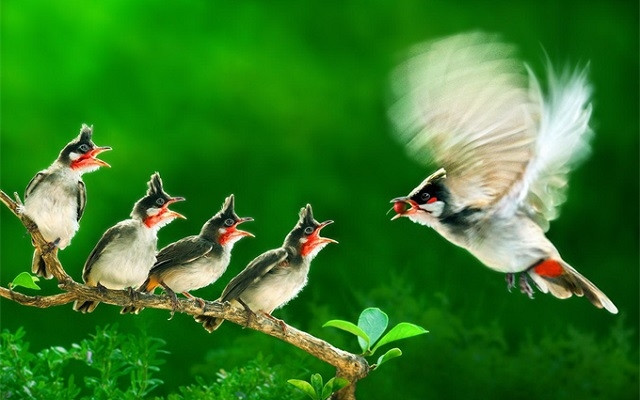  Tác phẩm đoạt Huy chương vàng của nghệ sĩ Vũ Duy Thông.