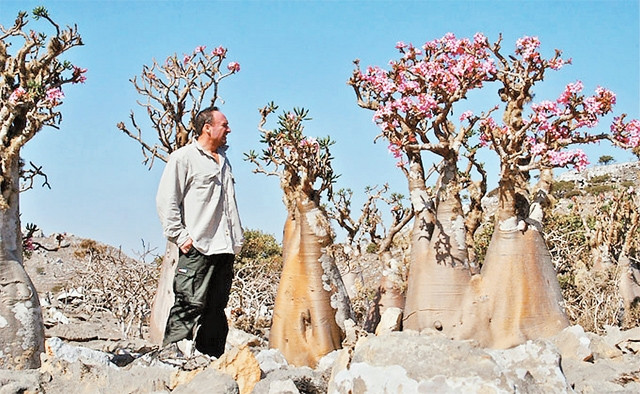 Đảo “kỳ hoa dị thảo”