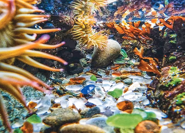 Lóng lánh, những bờ cát