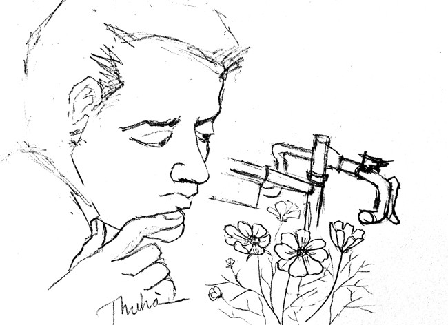 Long lanh sương mai